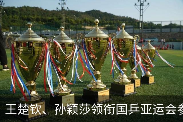 王楚钦、孙颖莎领衔国乒亚运会参赛名单